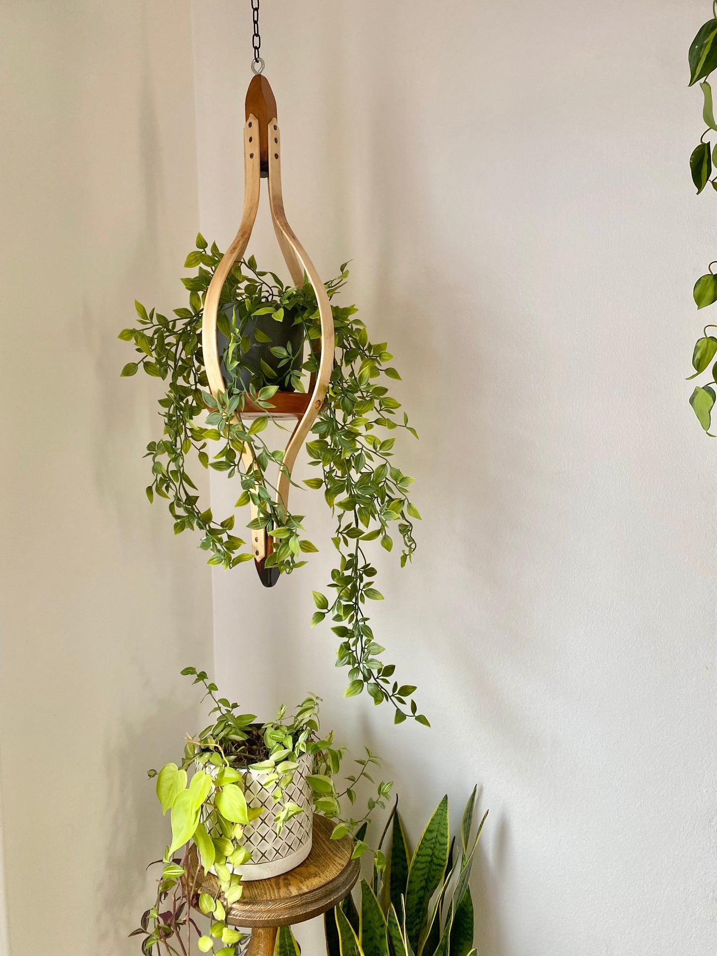 Wooden Plant Hanger | Maple and Cherry