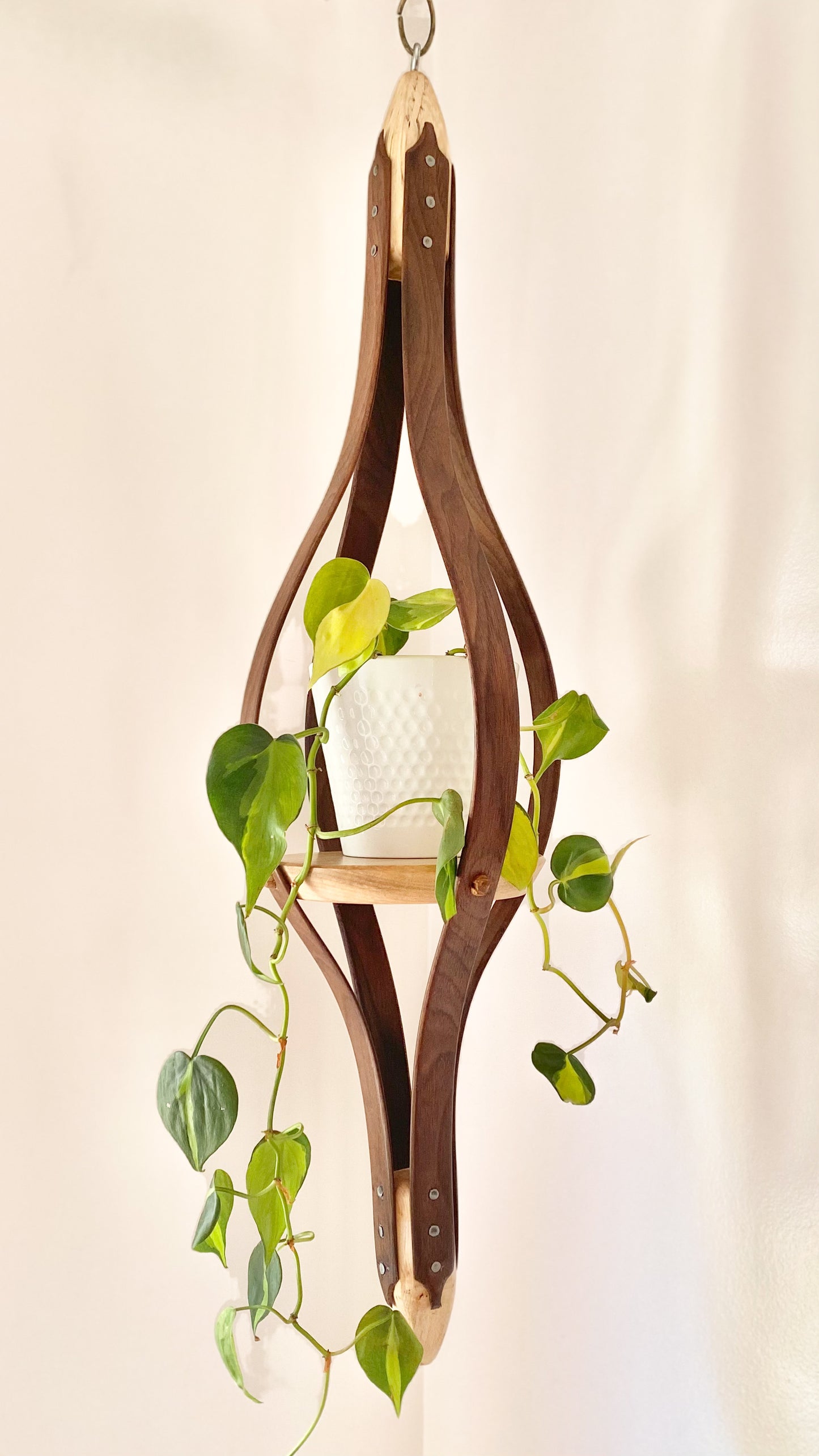 Wooden Plant Hanger | Walnut and Maple